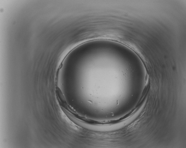 X0000067001532200603311602