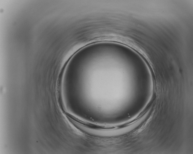 X0000067001533200603311602