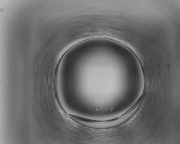 X0000067001534200603311602