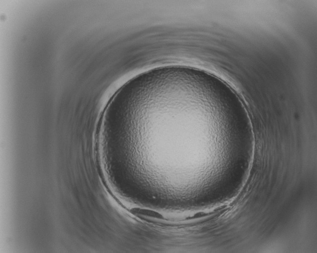 X0000067001535200603311602