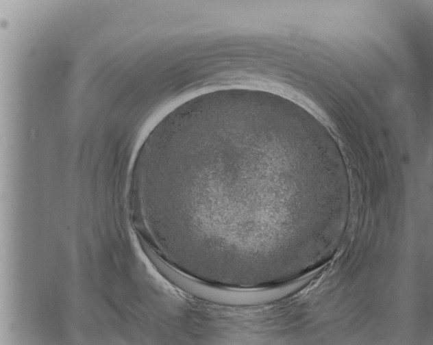 X0000067001536200603311602