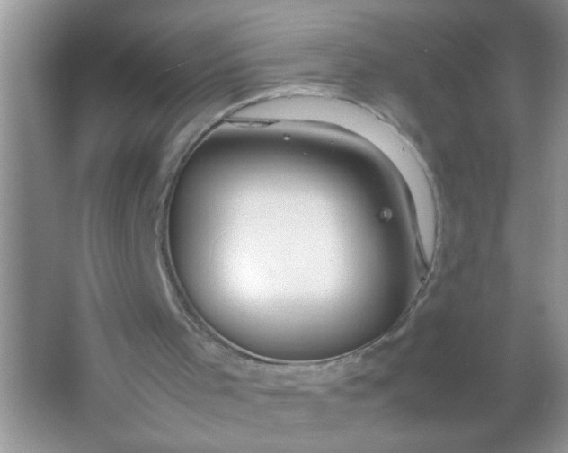 X0000067000001200604072201