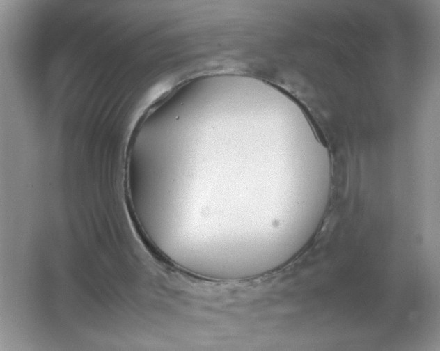 X0000067000003200604072201