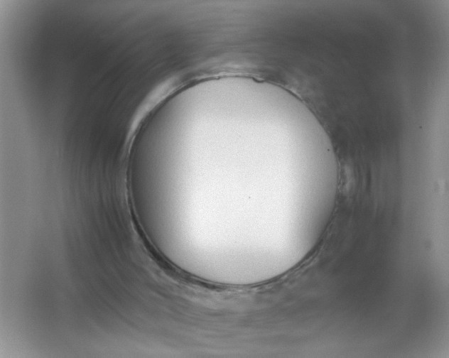 X0000067000004200604072201