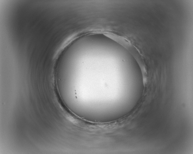 X0000067000005200604072201