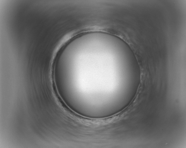 X0000067000006200604072201