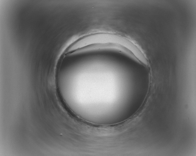 X0000067000008200604072201