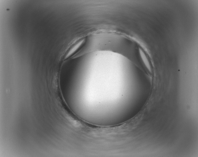 X0000067000009200604072201