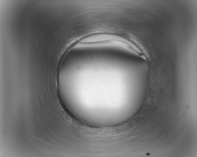 X0000067000011200604072201