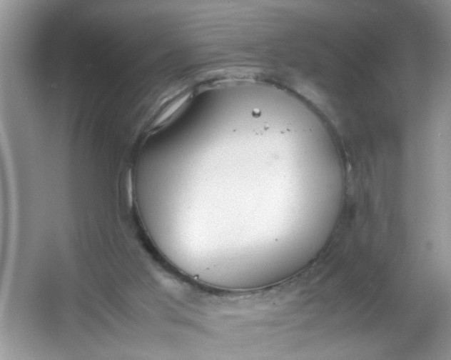 X0000067000013200604072201