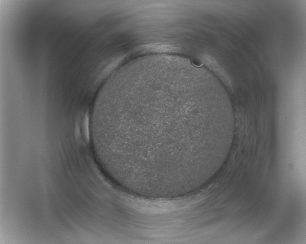 X0000067000014200604072201