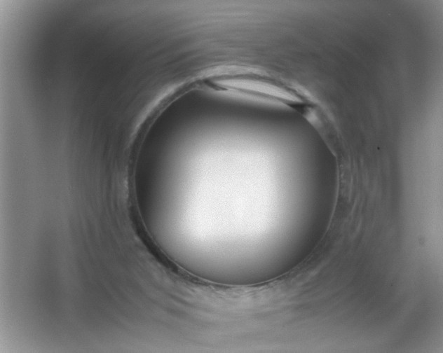 X0000067000015200604072201