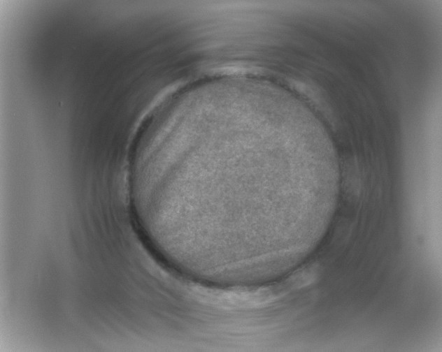 X0000067000016200604072201