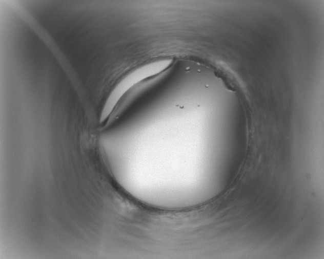 X0000067000017200604072201