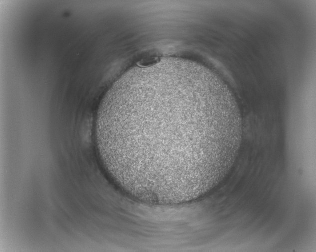 X0000067000018200604072201