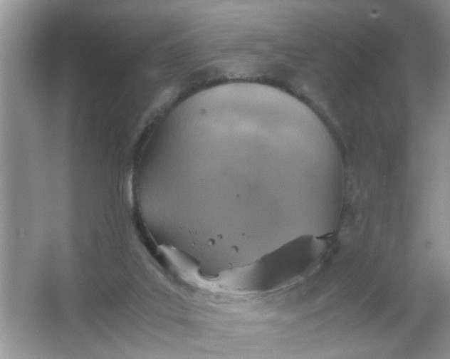 X0000067000019200604072201