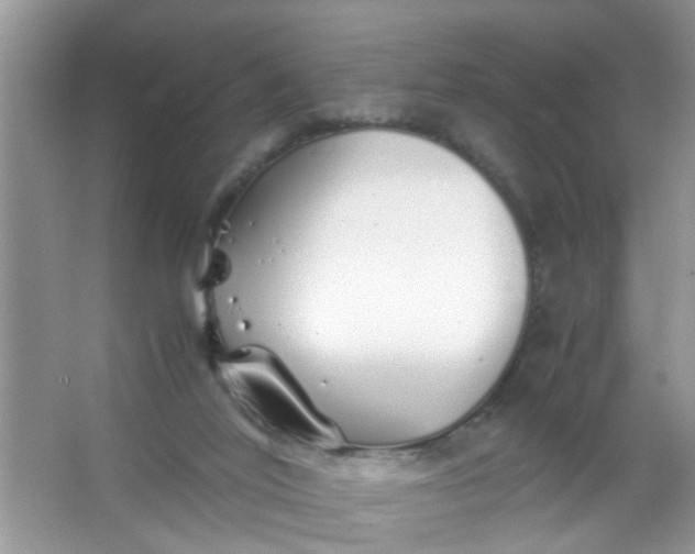 X0000067000020200604072201