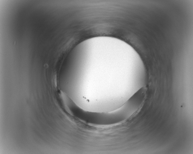 X0000067000021200604072201