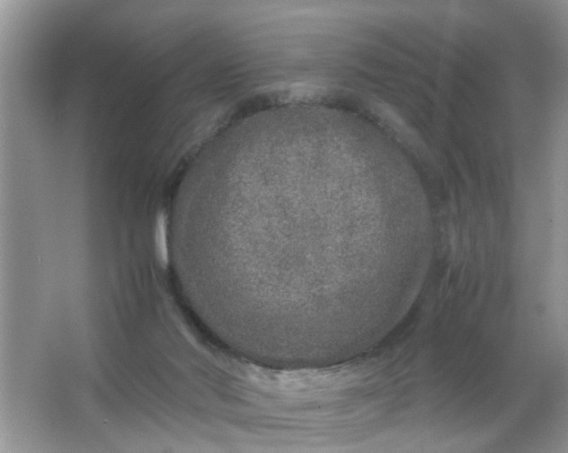 X0000067000022200604072201