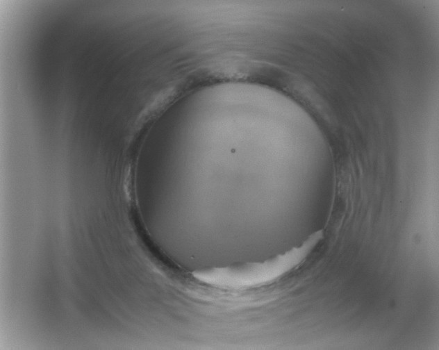 X0000067000023200604072201