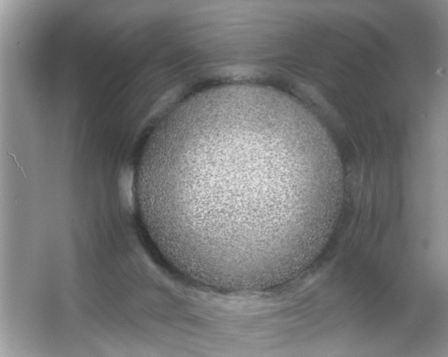 X0000067000024200604072201