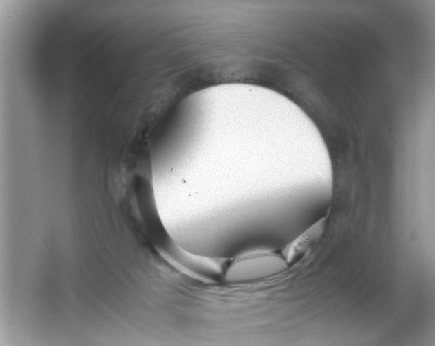 X0000067000025200604072200