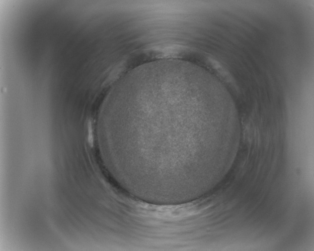 X0000067000026200604072200