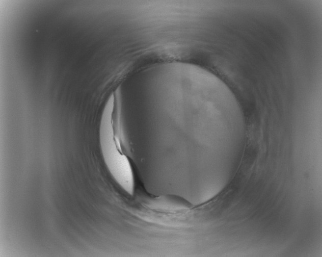 X0000067000027200604072200