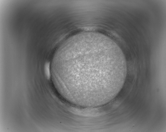 X0000067000028200604072200