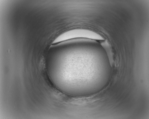 X0000067000029200604072200