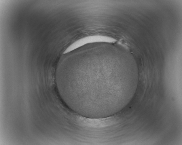 X0000067000030200604072200