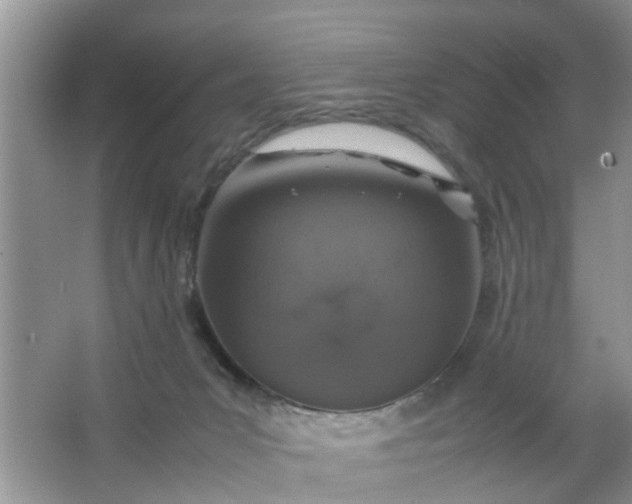 X0000067000031200604072200