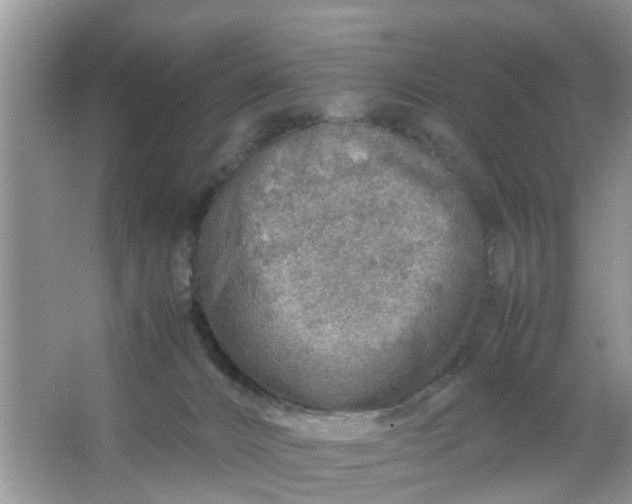 X0000067000032200604072200