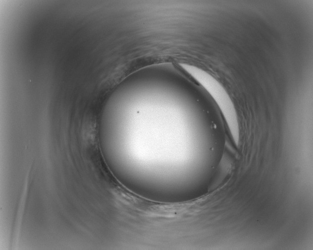 X0000067000033200604072200