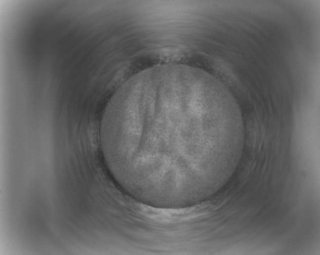 X0000067000034200604072200