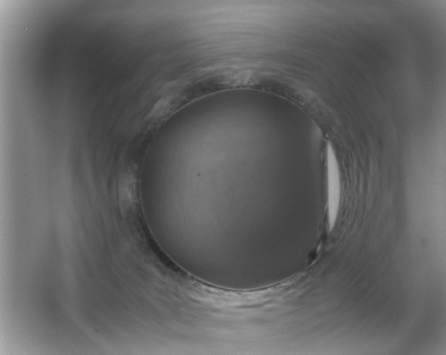 X0000067000035200604072200