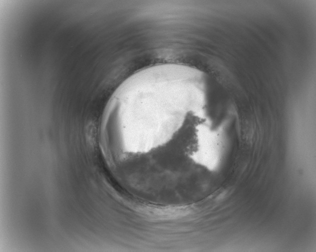 X0000067000036200604072200