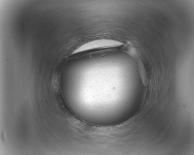 X0000067000037200604072200