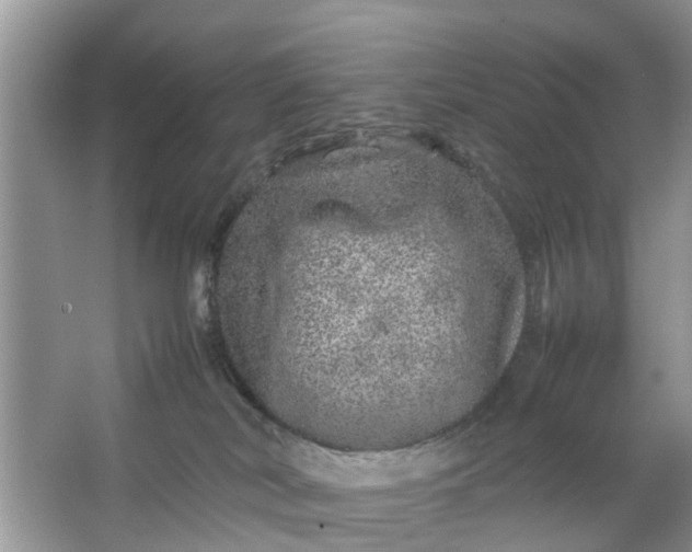 X0000067000038200604072200