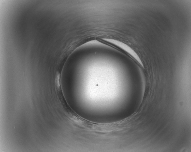 X0000067000041200604072200