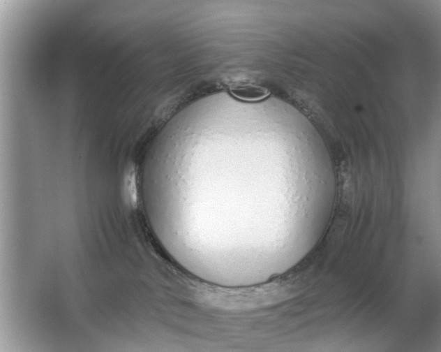 X0000067000042200604072200