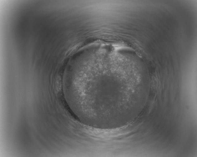 X0000067000043200604072200