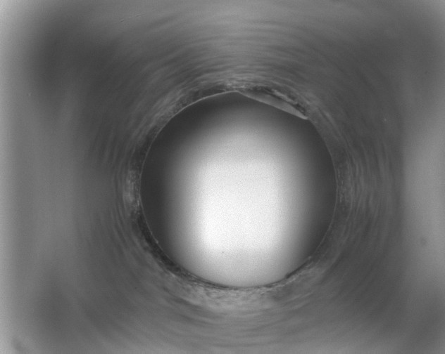 X0000067000044200604072200