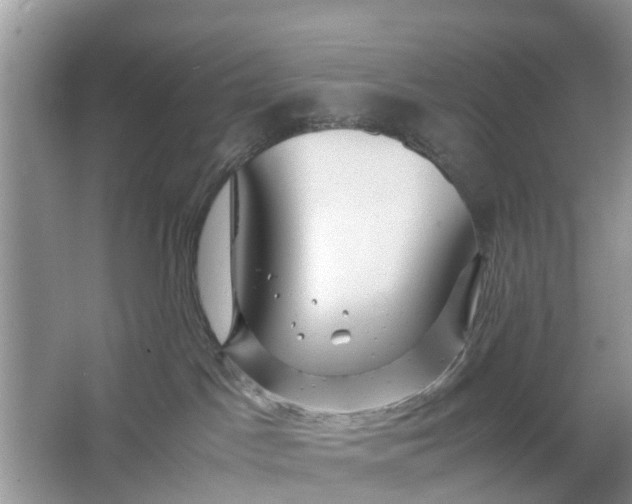 X0000067000045200604072200