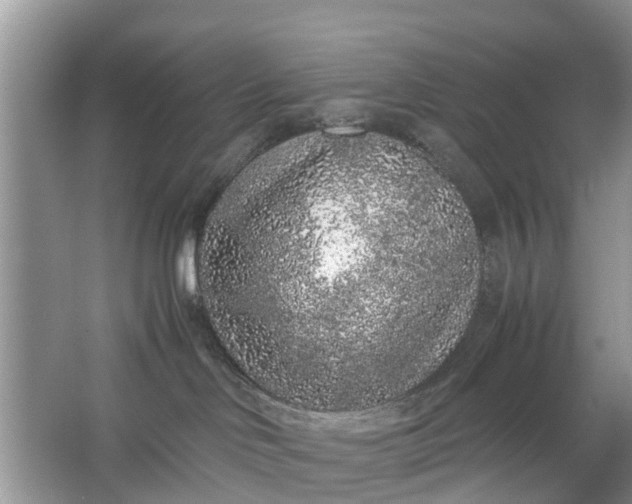 X0000067000046200604072200