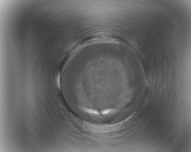 X0000067000047200604072200