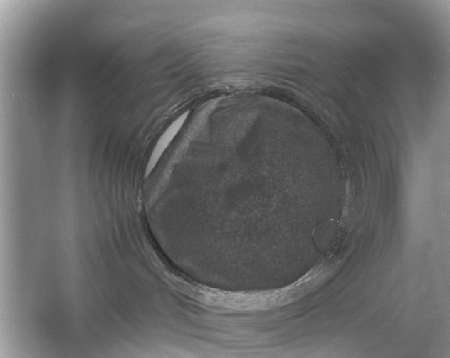 X0000067000048200604072200