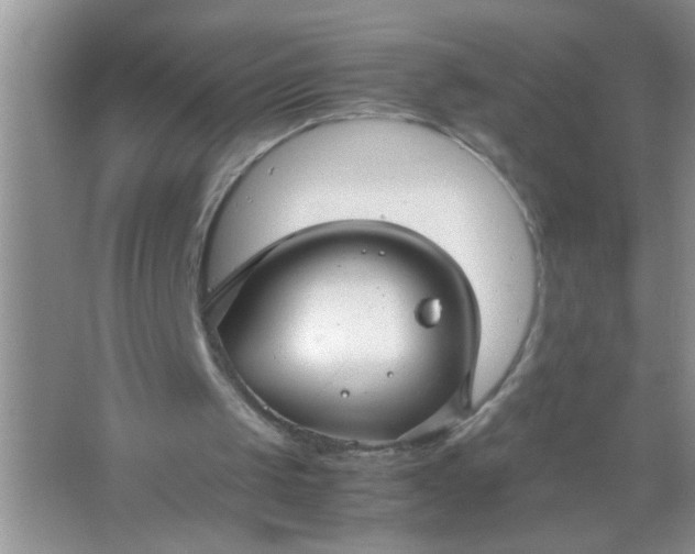 X0000067000049200604072159