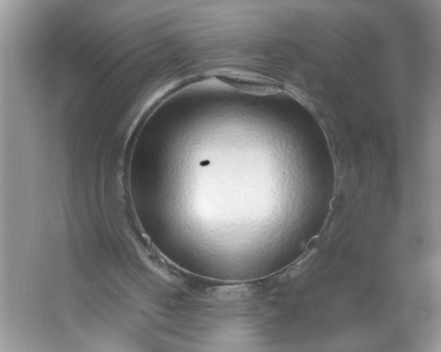 X0000067000050200604072159