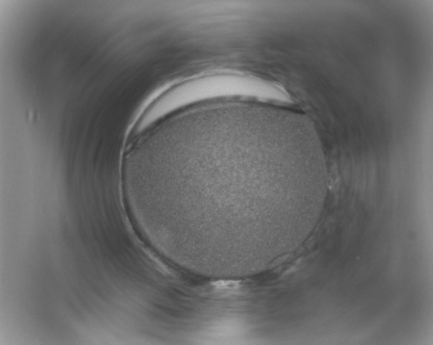 X0000067000052200604072159